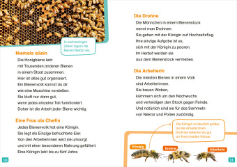 WAS IST WAS Erstes Lesen. Bienen 