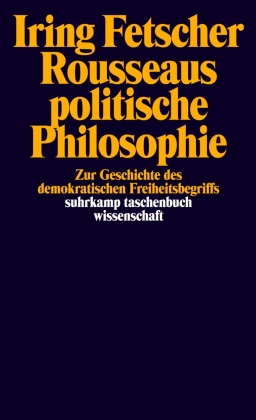 Rousseaus politische Philosophie 