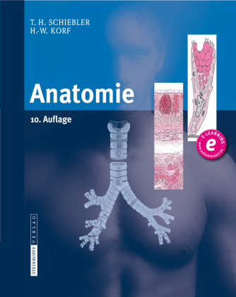 Anatomie 