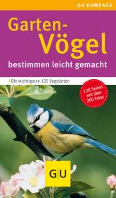 kein Cover