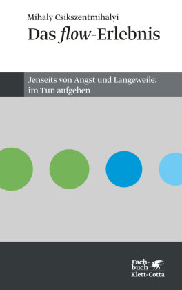 Das Flow-Erlebnis (Konzepte der Humanwissenschaften)