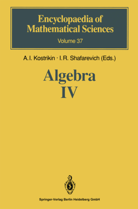 Algebra IV 
