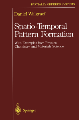 Spatio-Temporal Pattern Formation 