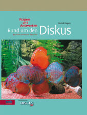 kein Cover