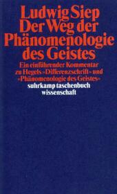 Der Weg der 'Phänomenologie des Geistes'