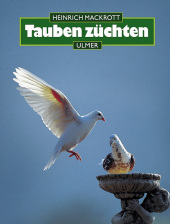 kein Cover