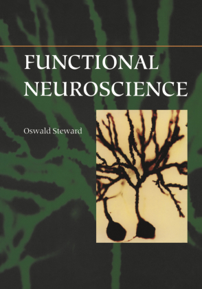 Functional Neuroscience 