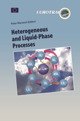 Heterogeneous and Liquid Phase Processes 