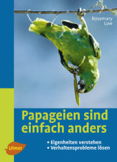 kein Cover