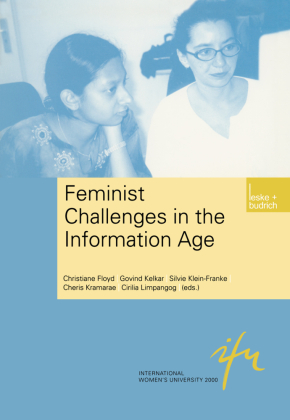 Feminist Challenges in the Information Age 