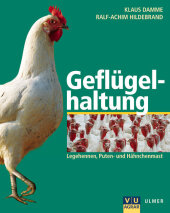 kein Cover