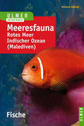 Meeresfauna Rotes Meer, Indischer Ozean (Malediven)