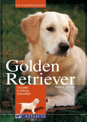 Golden Retriever Produkt - 