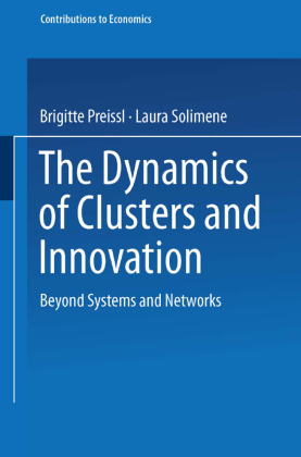 The Dynamics of Clusters and Innovation 