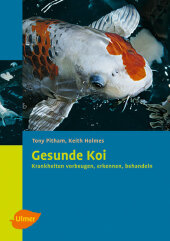 kein Cover