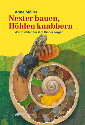 Nester bauen, Höhlen knabbern 