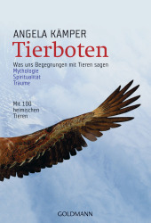 kein Cover