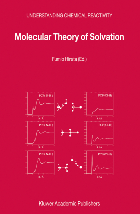 Molecular Theory of Solvation 