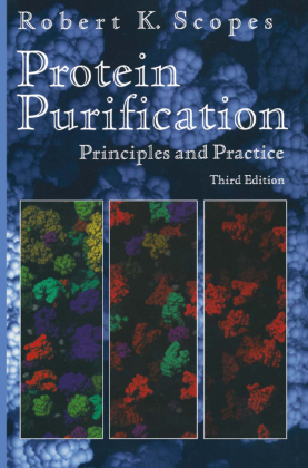 Protein Purification 