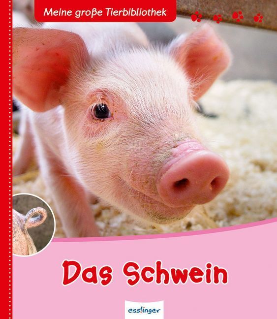 Das Schwein Produkt