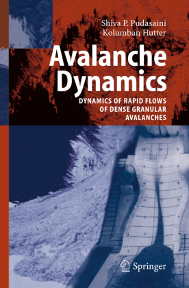 Avalanche Dynamics 