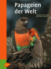 kein Cover