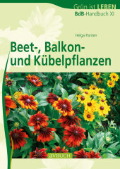 kein Cover