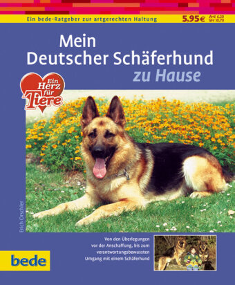 Mein Deutscher Schäferhund zu Hause