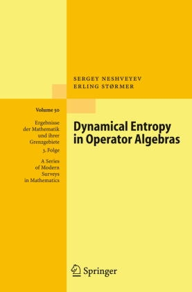 Dynamical Entropy in Operator Algebras 