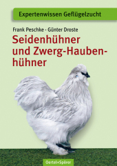 kein Cover