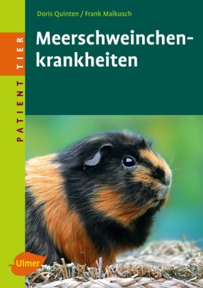 Meerschweinchenkrankheiten 