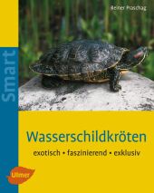 kein Cover