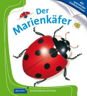 kein Cover