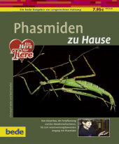 kein Cover