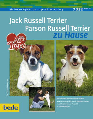 Jack Russell Terrier, Parson Russell Terrier zu Hause