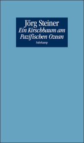 kein Cover