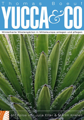 Yucca & Co 