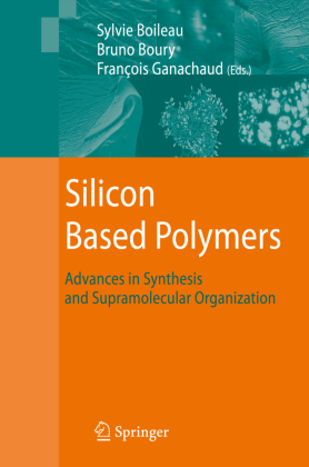 Silicon Based Polymers 