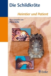 kein Cover