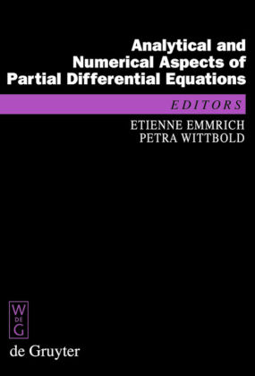 Analytical and Numerical Aspects of Partial Differential Equations 