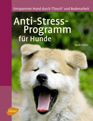 Anti-Stress-Programm für Hunde 