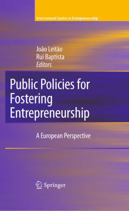 Public Policies for Fostering Entrepreneurship 