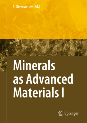Minerals as Advanced Materials I 