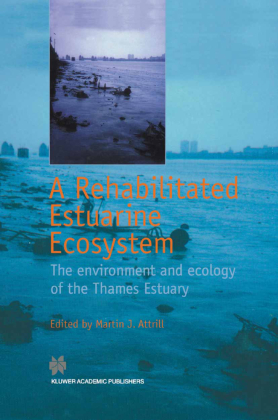 A Rehabilitated Estuarine Ecosystem 