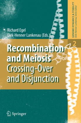 Recombination and Meiosis 