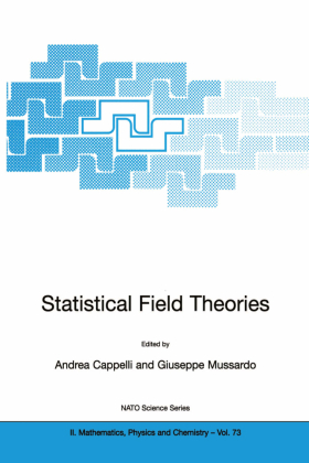 Statistical Field Theories 