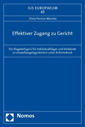 Effektiver Zugang zu Gericht 