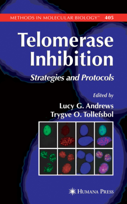Telomerase Inhibition 