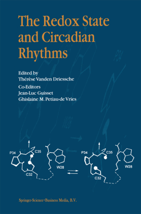 The Redox State and Circadian Rhythms 