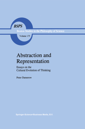 Abstraction and Representation 